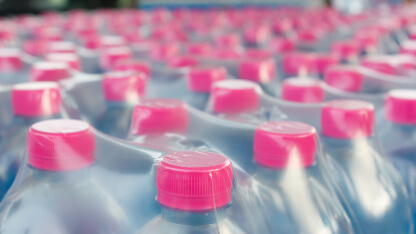 an array of clear plastic bottles containing water made from recycled plastic packaging with bright pink bottle tops and all bottles are wrapped in a clear shrink wrapped plastic sheet